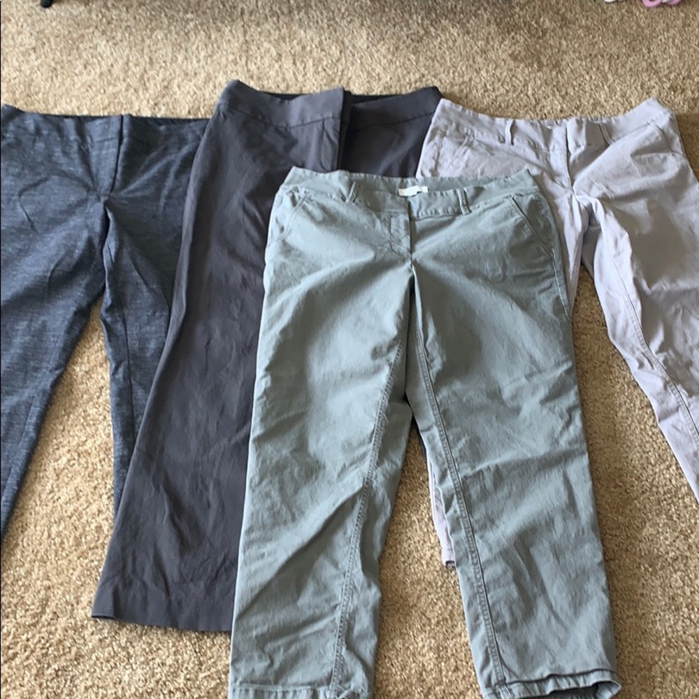 LOFT pants bundle
